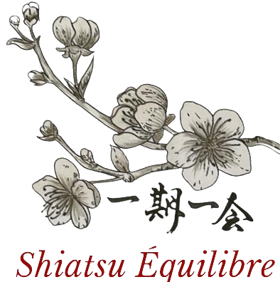 Logo Shiatsu Équilibre Libourne VOS Corinne